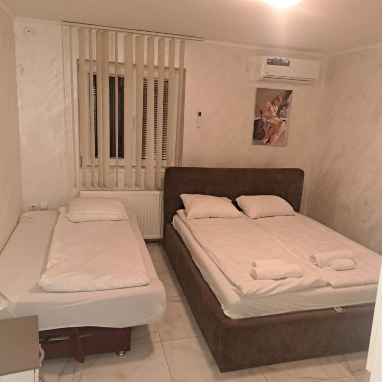 Apartments Petkovic - Apartman sa Terasom - 1