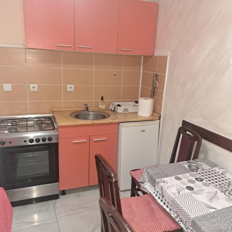 Apartments Petkovic - Apartman sa Terasom - 4