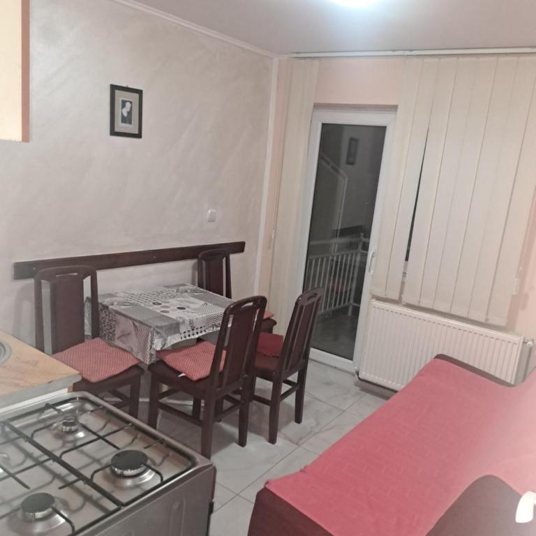 Apartments Petkovic - Apartman sa Terasom - 5