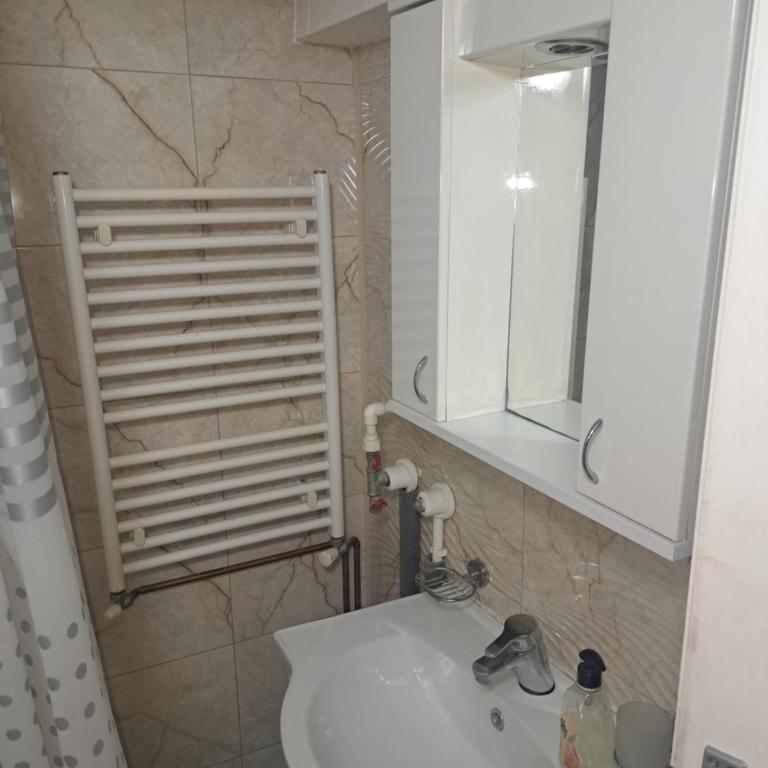 Apartments Petkovic - Apartman sa Terasom - 7