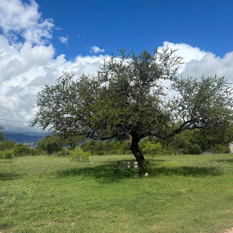 Casa de categoría en las Sierras - Villa de 2 dormitorios - 30