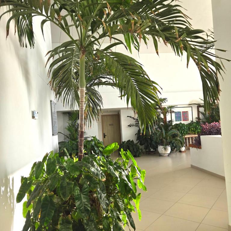Duplex con Encanto Vista al Mar y Centro Historico - Two-Bedroom Apartment - 45