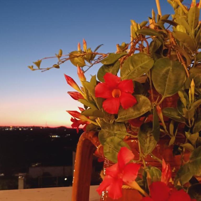 La Terra Del Sole - Appartamento con 1 Camera da Letto - 29