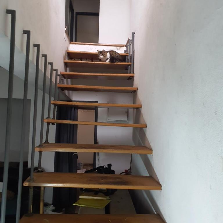 Lindo departamentro diario - One-Bedroom Apartment - 5