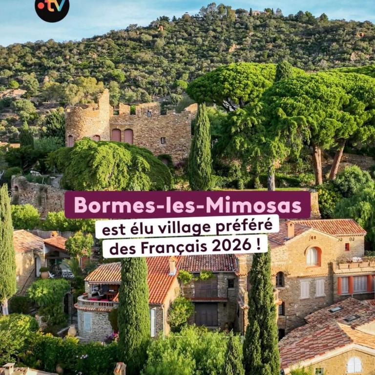Bormes center 75 m2 artistic stay 2 to 4 people - Two-Bedroom Apartment - 32