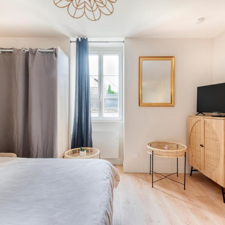 L'Intime Angevine - Cocon - Parking gratuit - Appartement 1 Chambre - 21