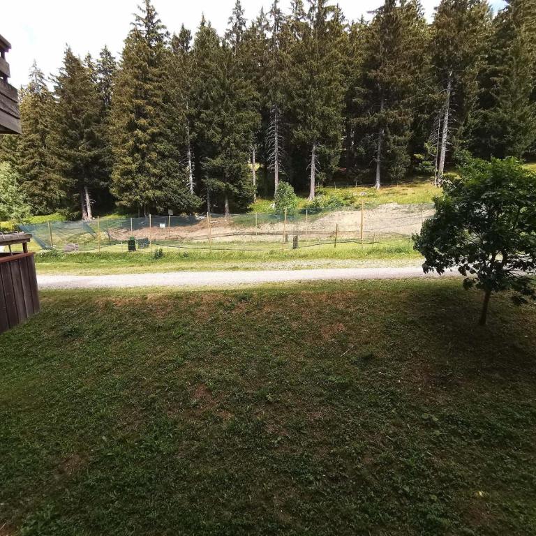 2 pièces aux Adrets, au pied des pistes, animaux admis - Apartment mit 1 Schlafzimmer - 16