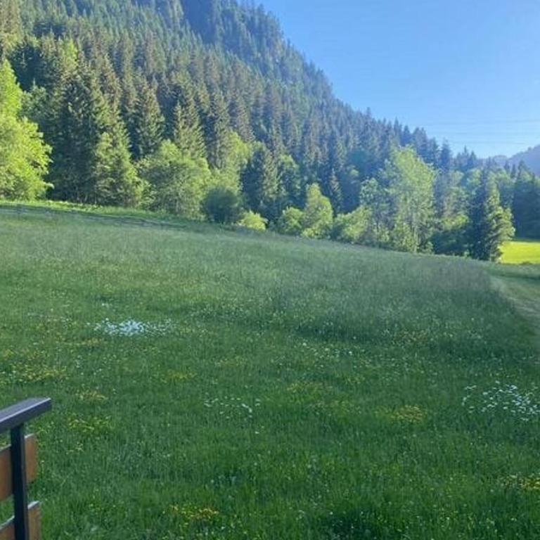 Appartement avec animaux admis - 4 pers. - FR-1-676-260 - Appartement - 14
