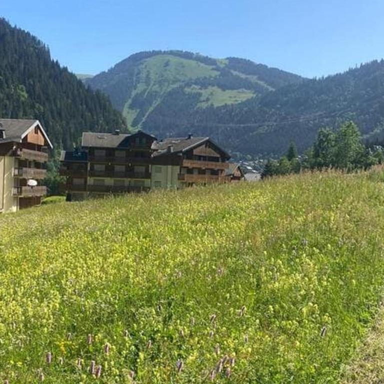 Appartement avec animaux admis - 4 pers. - FR-1-676-260 - Appartement - 15