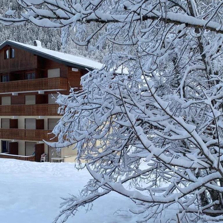 Appartement avec animaux admis - 4 pers. - FR-1-676-260 - Appartement - 20