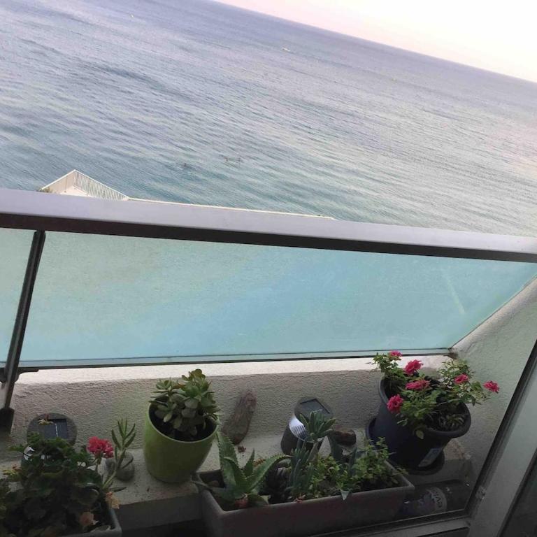 Vue imprenable - Appartement 1 Chambre - 39