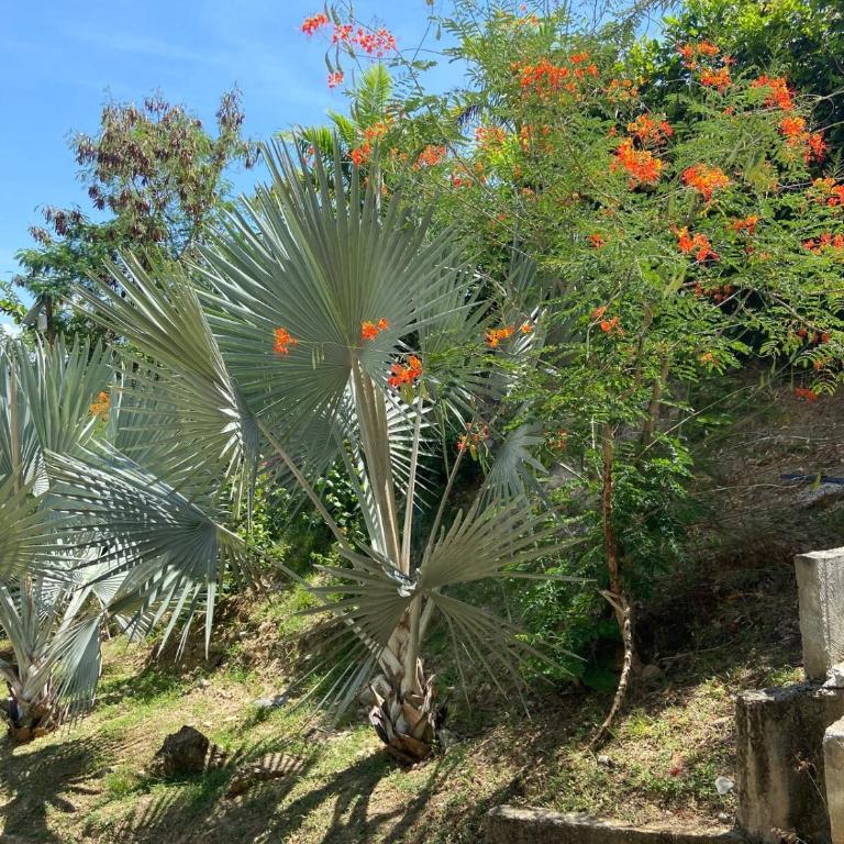 Finca San José - Pool, Nature and Relaxation - Villa - 33