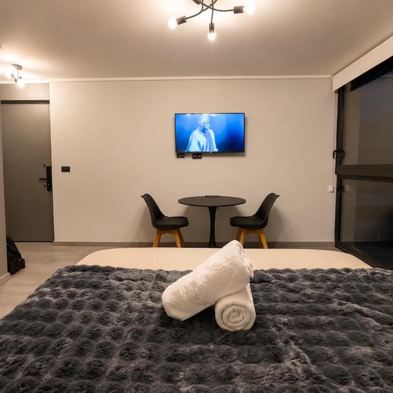 Depto Fantasilandia and Movistar Arena with heating - One-Bedroom Apartment - 17