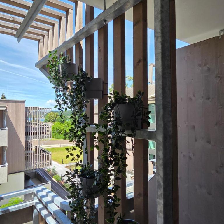 Apartement am Klopeinersee - Apartment mit 1 Schlafzimmer - 14