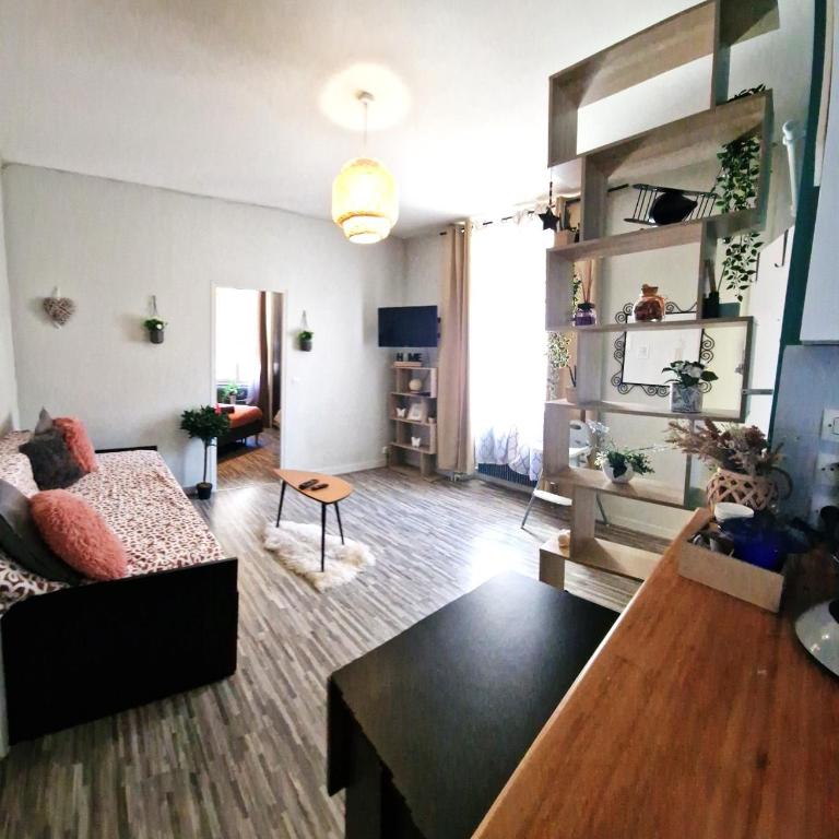 L'Ocean Appartement lumineux centre Blois - Appartement 1 Chambre - 9
