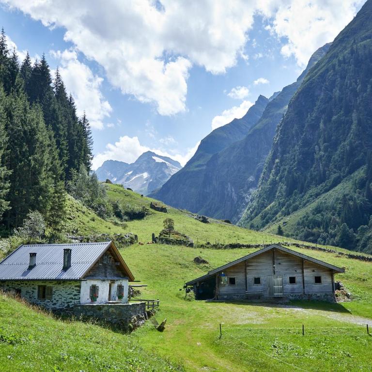 Farmhouse Mittersill near KitzSki Slopes - Ferienhaus mit 6 Schlafzimmern - 45