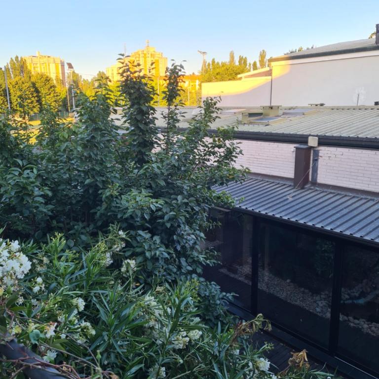 B&B Il Mezzo Marinaio - Camera Matrimoniale con Bagno Privato - 35