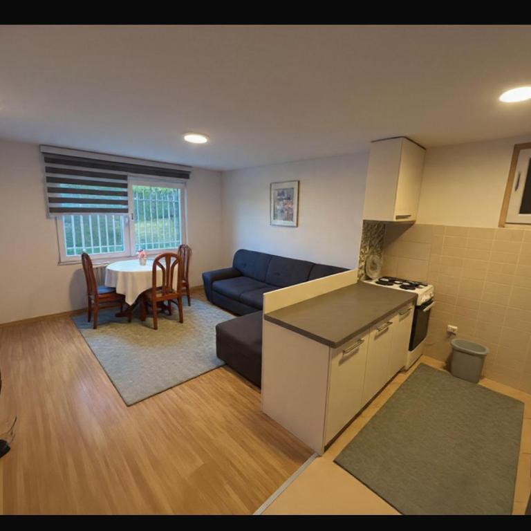 Close to SCC Luxury apartment in Sarajevo - Kuća sa 2 Spavaće Sobe - 18