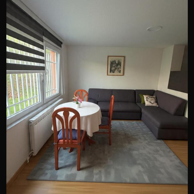 Close to SCC Luxury apartment in Sarajevo - Kuća sa 2 Spavaće Sobe - 20