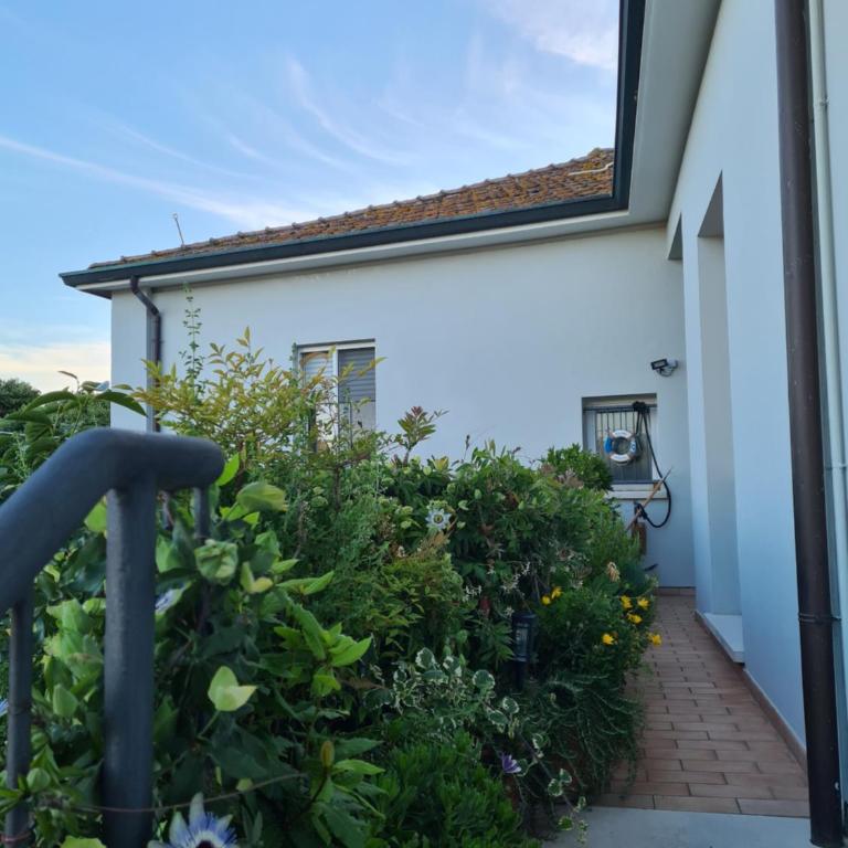 B&B Il Mezzo Marinaio - Camera Matrimoniale con Bagno Privato - 41