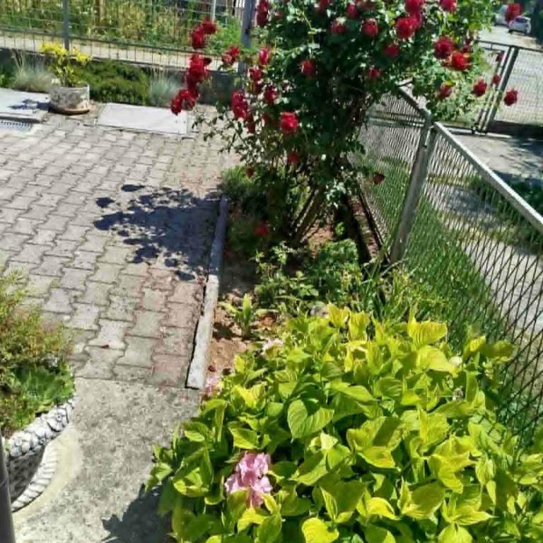 Amor-Dream - Apartman sa 2 Spavaće Sobe - 8