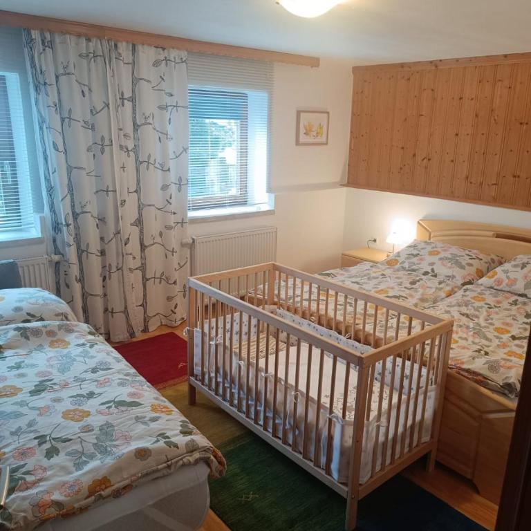 Haus Wagner- Wildschönau Premium Card inclusive - Apartment mit Terrasse - 12