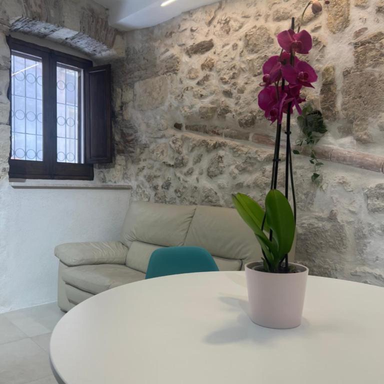 Dintorni - One-Bedroom Apartment - 6