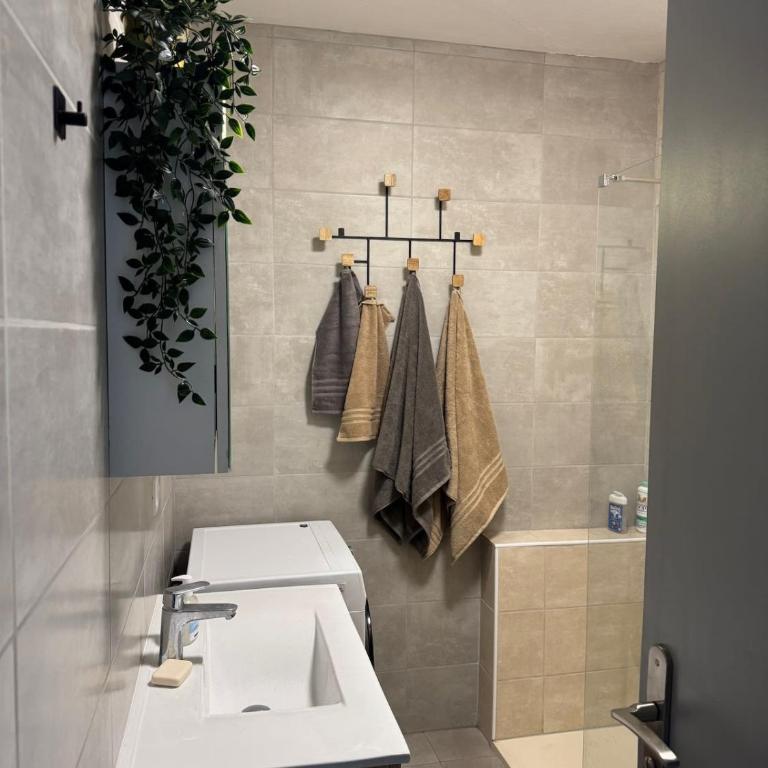 Le Colloud - T2 moderne proche centre et lac balcon garage - Appartement - 6