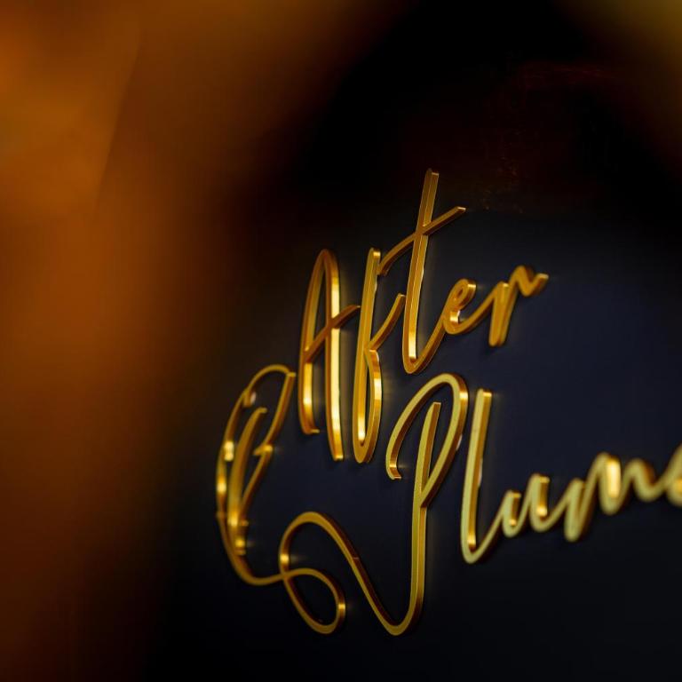 L'After Plume - Spa Sauna - Love Room Tours centre - Appartement 1 Chambre - 28