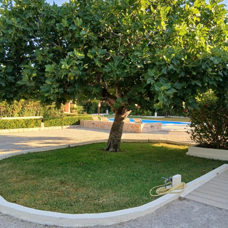 Villa enseñat ETV04085 - Villa de 3 dormitorios - 9