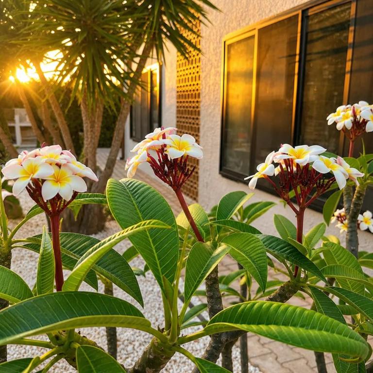 Villa Roberta Pool&Relax - Fontanebianche - Villa with Private Pool - 6