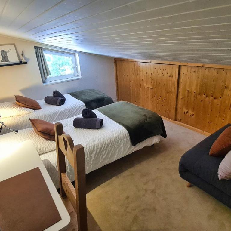 Les Marmottes - Vue montagne, pied des pistes - ARAVISTOUR - Appartement 2 Chambres - 13