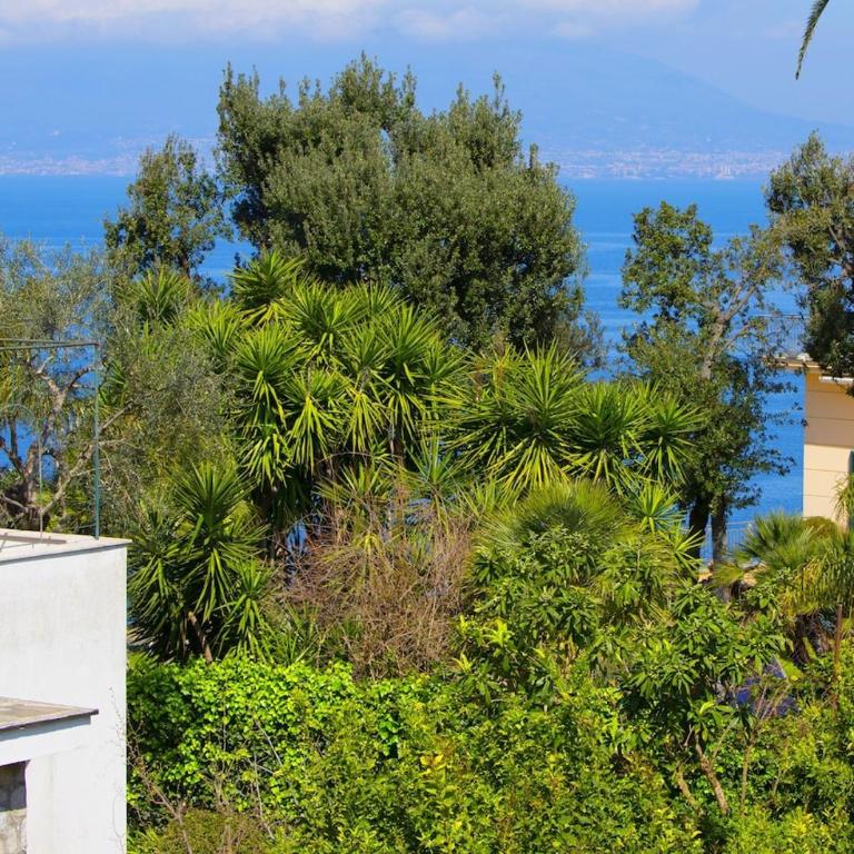 Casa Savino - Appartamento - 4