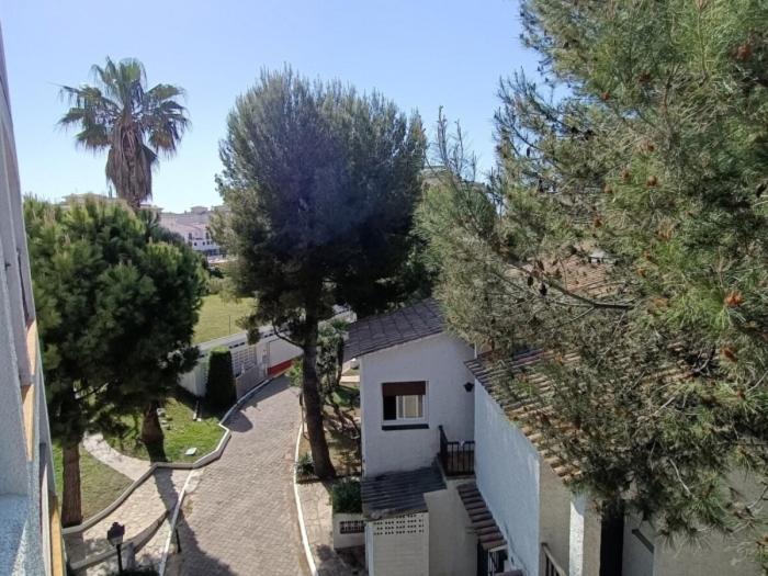 R121 - Apartamento Alorda park - Apartamento - 14