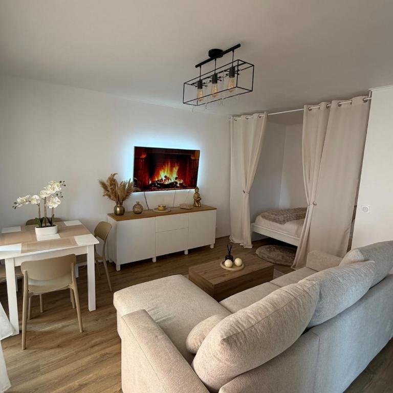 Appartement rénové à 10 minutes de la Croisette - Appartement 1 Chambre - 1