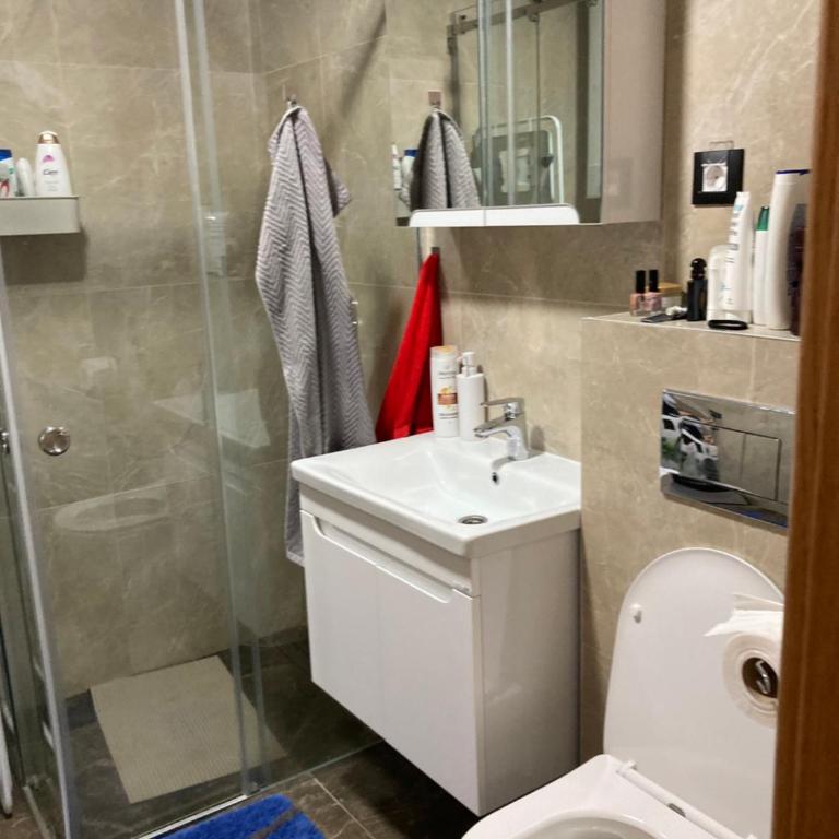 Apartman Tara Zlatbibor - Appartement 1 Chambre - 9