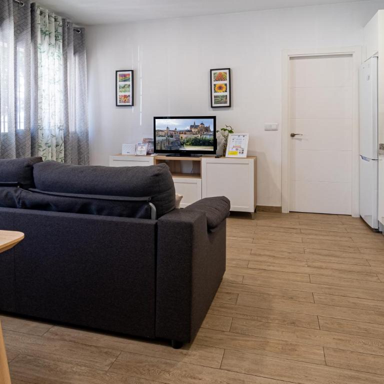 Geysotur Puerta de la Axerquía Parking Gratis - Apartment mit 1 Schlafzimmer - 3