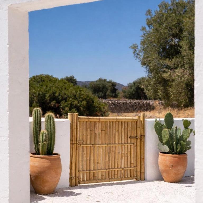 Masseria Guadalupe, The Mascienda - Camera Queen Standard - 8
