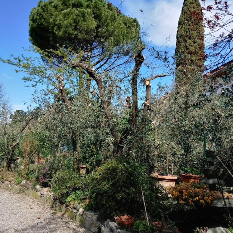 Via dalla matta folla a pochi minuti dal centro - Appartamento con 1 Camera da Letto - 9