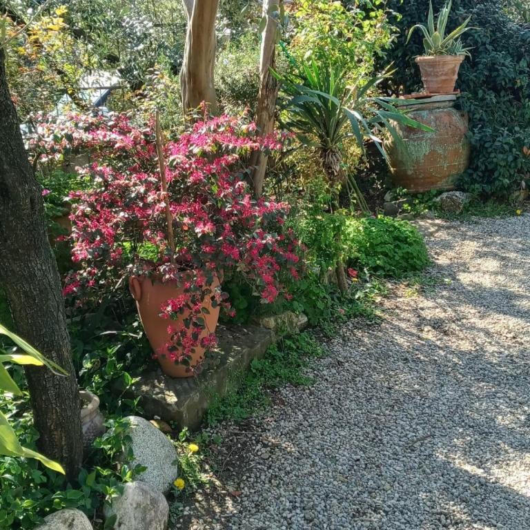 Via dalla matta folla a pochi minuti dal centro - Appartamento con 1 Camera da Letto - 13