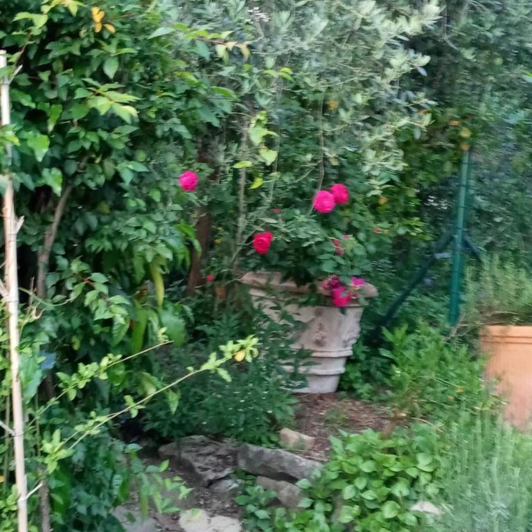 Via dalla matta folla a pochi minuti dal centro - Appartamento con 1 Camera da Letto - 17