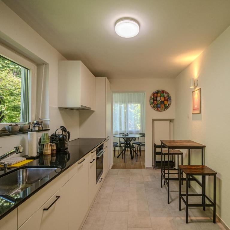Premium City Apartments by Hotel Basler Tor Lucerne - Apartment mit 2 Schlafzimmern und Balkon - 7