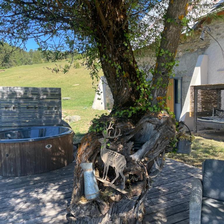 Forest d' ARTO - Chalet 3 Chambres - 12