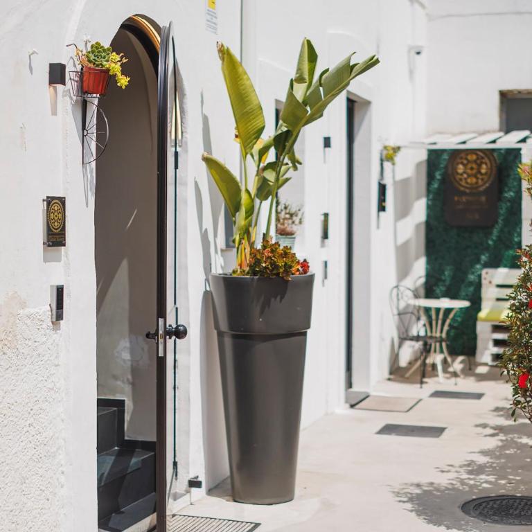 Harmonies BnB - Luxury Suites & Family Room Bari - Camera King - 26