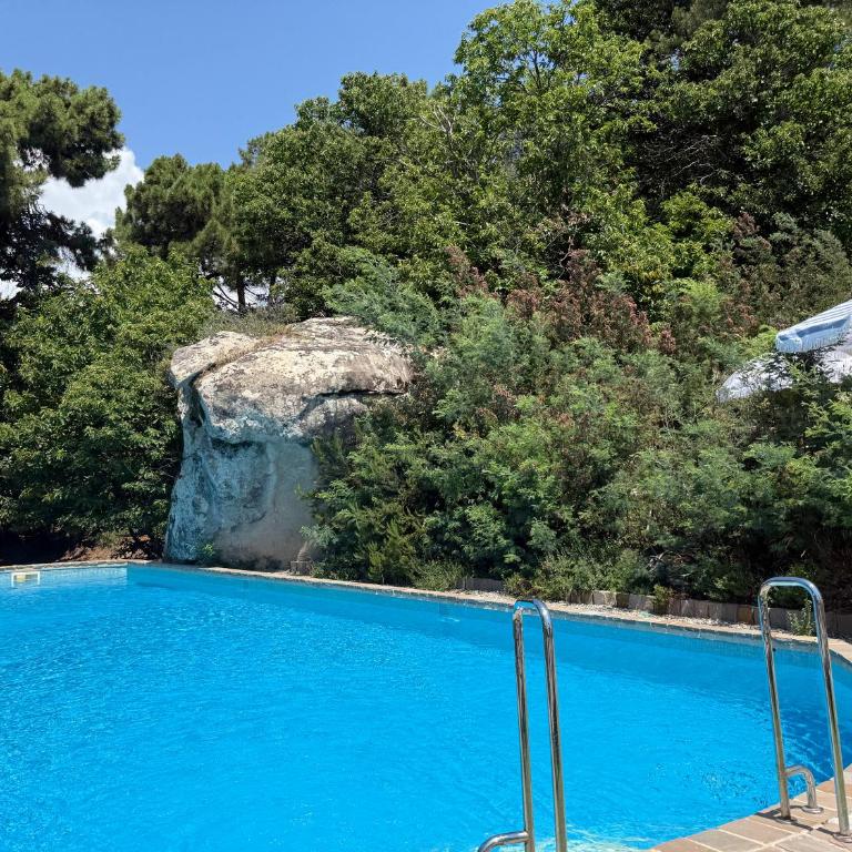 Domaine Le Rocher d Argent avec Piscine Extérieur ,Jacuzzi Intérieur et Salle de jeux - Appartamento con 2 Camere da Letto - 8