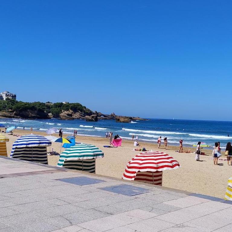 Biarritz grande plage - Appartement 1 Chambre - 1