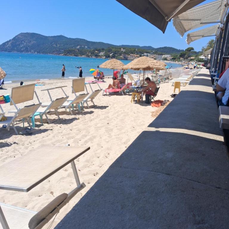 studio bord de mer, clim, jardin et parking - Appartement 1 Chambre - 14