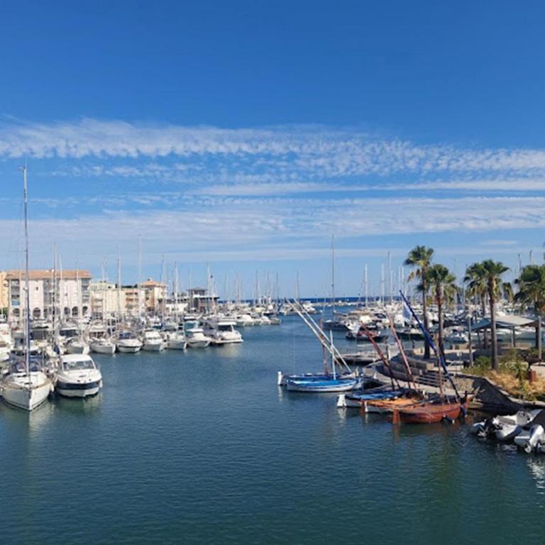 Studio Rez de jardin St Aygulf - Monolocale con Terrazza - 14