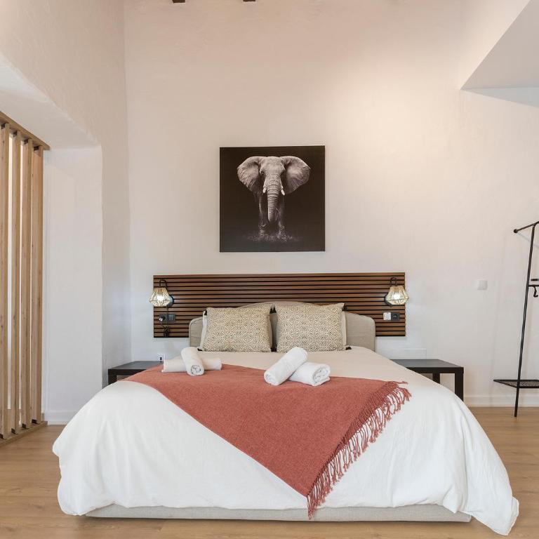 Lofts Calle Sol - Loft - 8