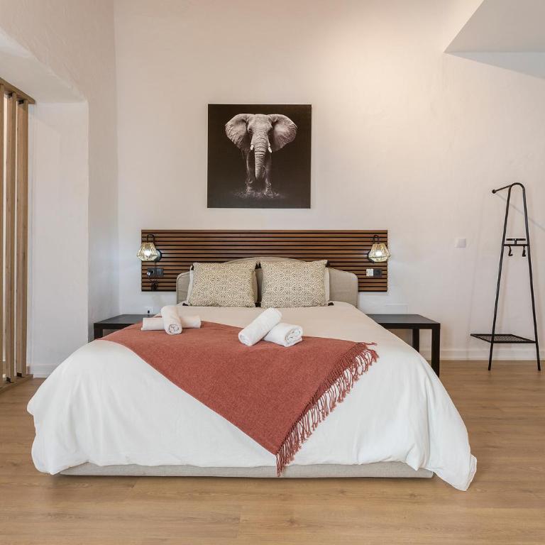Lofts Calle Sol - Loft - 1